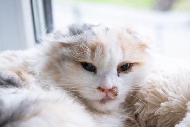 Similar image 22436356