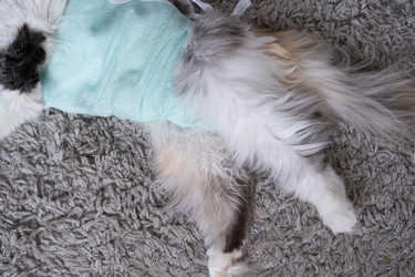 Similar image 22436360