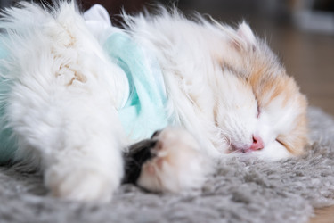 Similar image 22436363