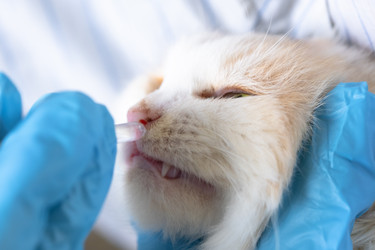 Similar image 22436365