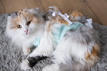 Similar image 22436367