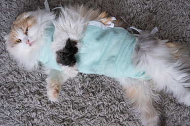 Similar image 22436368