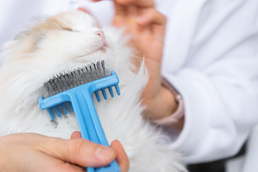 Similar image 22436369