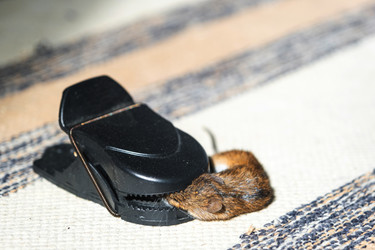 Similar image 22436375