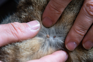 Similar image 22436376