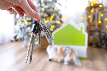 Similar image 22436380