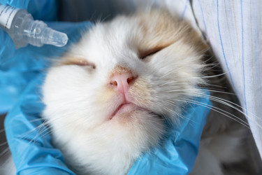 Similar image 22436385