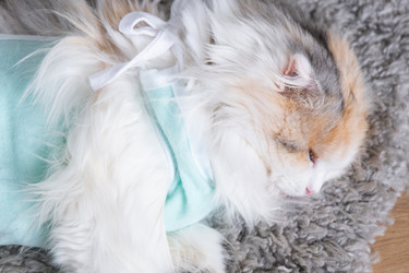 Similar image 22436386