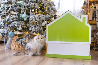 Similar image 22436387