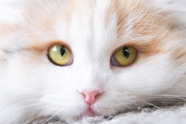 Similar image 22436389