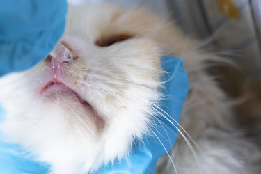 Similar image 22436393