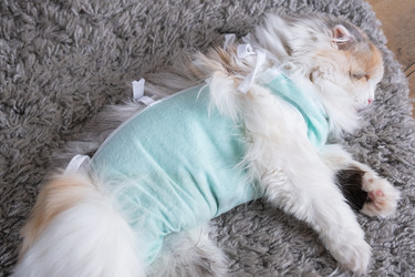 Similar image 22436396