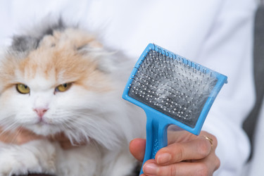 Similar image 22436397