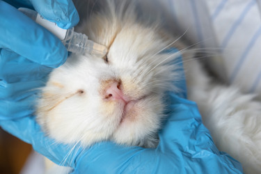 Similar image 22436399