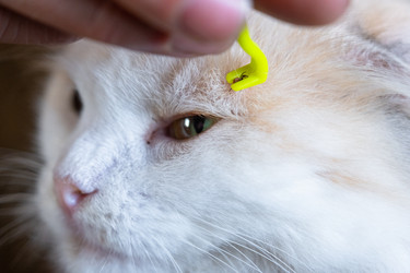 Similar image 22436402