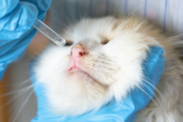 Similar image 22436403