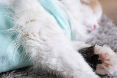 Similar image 22436405