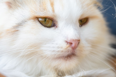 Similar image 22436409