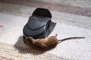 Similar image 22436410