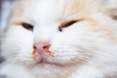 Similar image 22436420