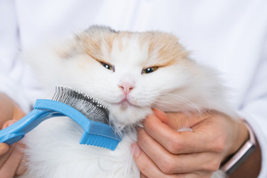 Similar image 22436421