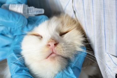 Similar image 22436427