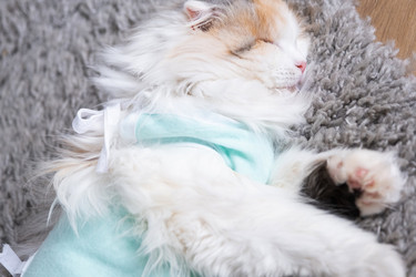 Similar image 22436431