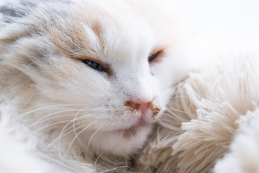 Similar image 22436433