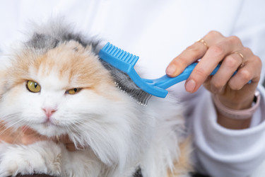 Similar image 22436439