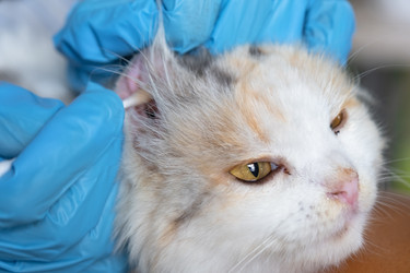 Similar image 22436443