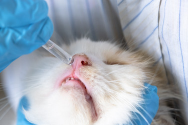 Similar image 22436445