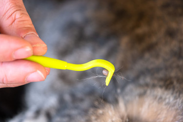 Similar image 22436446