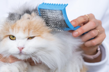 Similar image 22436447