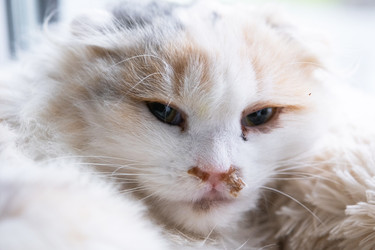 Similar image 22436454