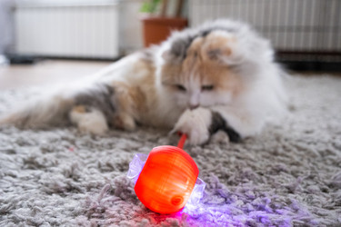 Similar image 22436459