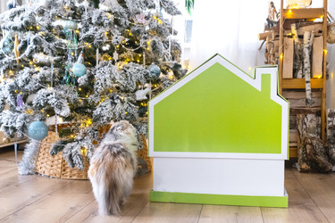 Similar image 22436461