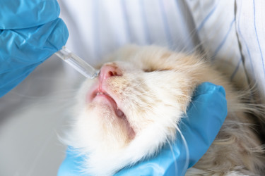 Similar image 22436463