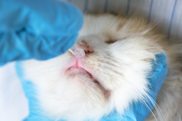 Similar image 22436468