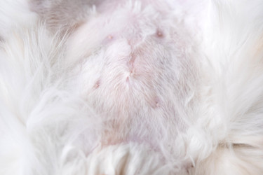 Similar image 22436469