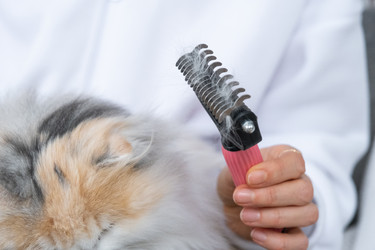 Similar image 22436470