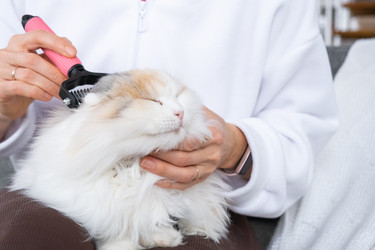 Similar image 22436473