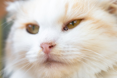 Similar image 22436474