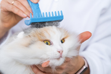 Similar image 22436476