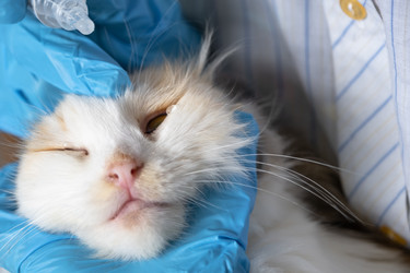 Similar image 22436478