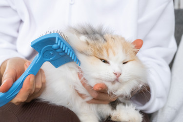 Similar image 22436479