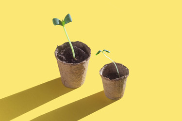 Similar image 22442471