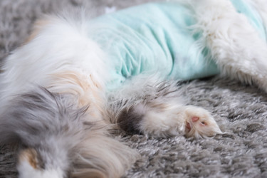 Similar image 22436480