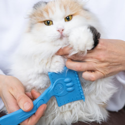 Similar image 22436481