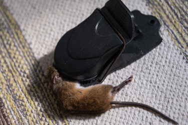 Similar image 22436484