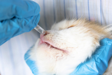 Similar image 22436486